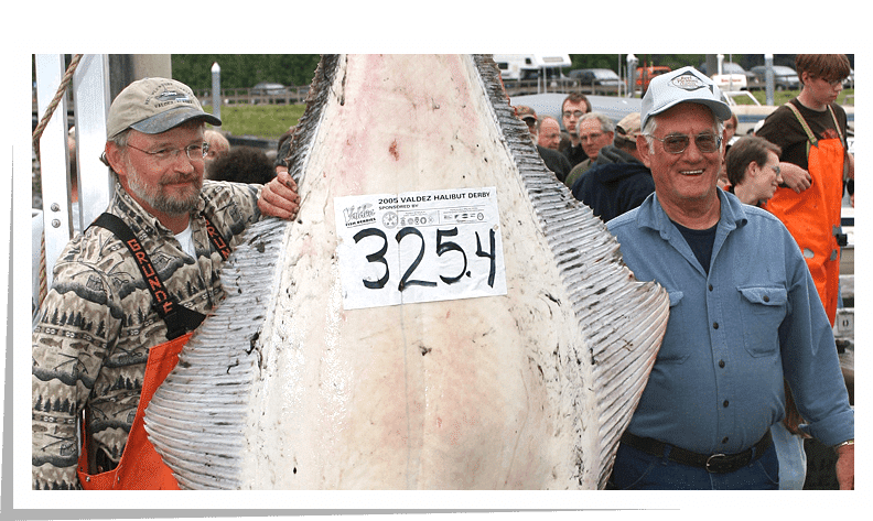 Two men showing a 325.4 LB halibut